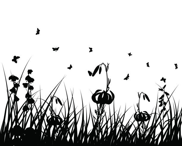 花的轮廓图片下载