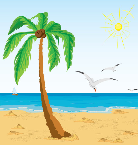 沙滩上的棕榈树图片下载