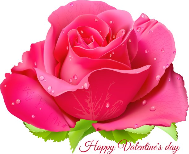 粉红玫瑰情人节快乐图片下载