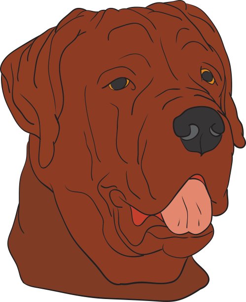 狗的头图片下载