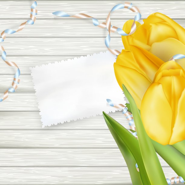 纸卡与郁金香EPS 10图片下载