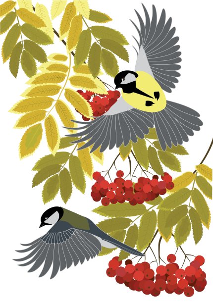 罗恩和山雀图片下载