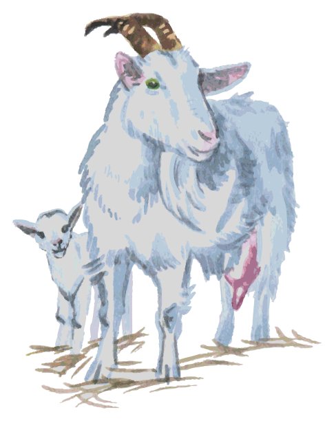 山羊水彩图片下载