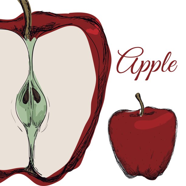 水果图标设计图片下载