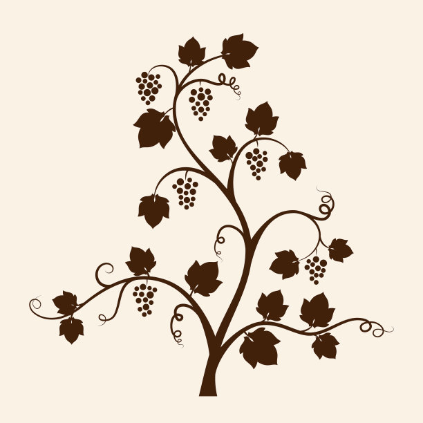 葡萄树的轮廓图片下载