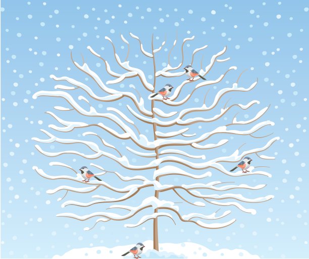 冬天的树图片下载