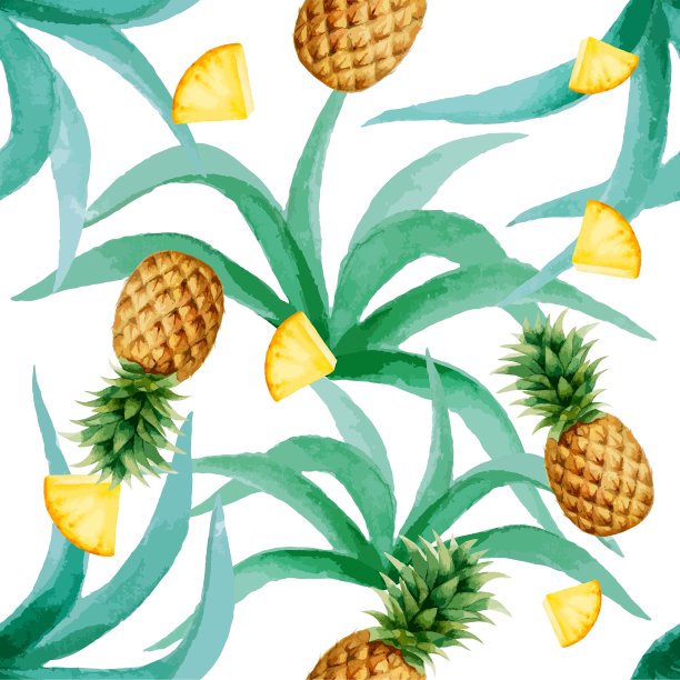 菠萝叶无缝图案水彩图片下载