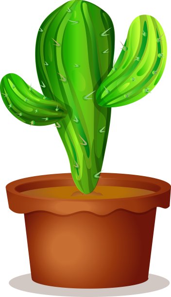 花盆里的仙人掌图片下载