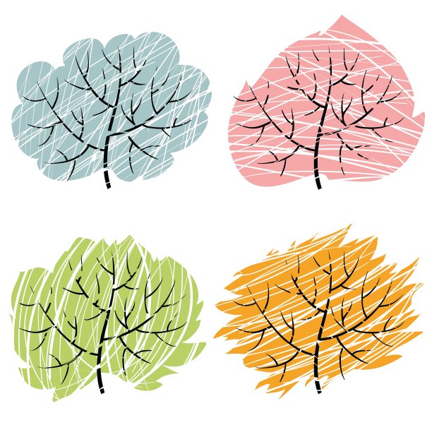 四个季节的树图片下载