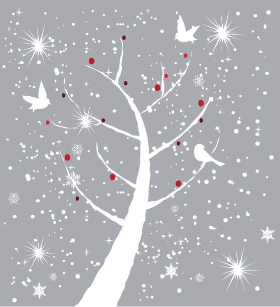 雪的鸟图片下载