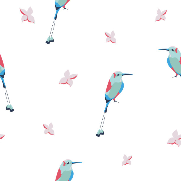 矢量无缝背景与motmot鸟图片下载