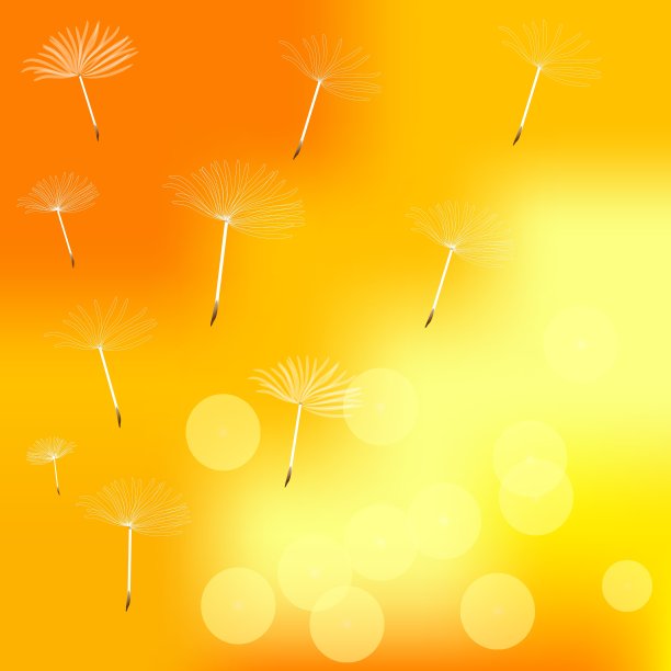 蒲公英在风中失去了完整性图片下载