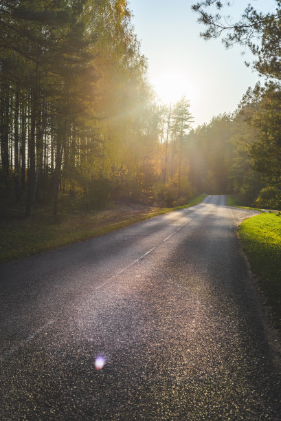 森林之路图片下载