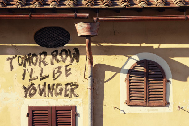 明天我会更年轻图片下载