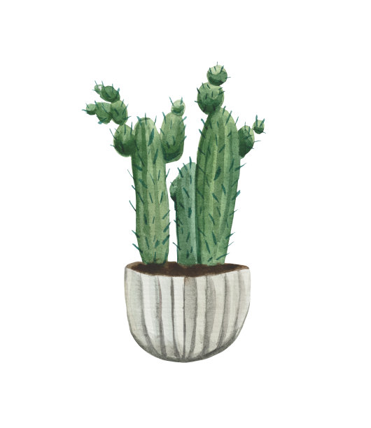 花盆里的仙人掌，拥抱式的。图片下载