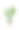 室内盆栽植物虎尾兰图片下载