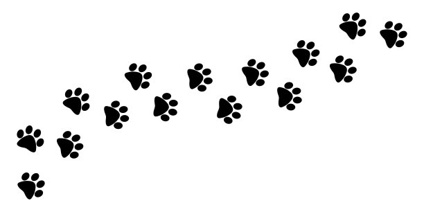狗，猫，小狗的脚印。矢量平面风格。图片下载