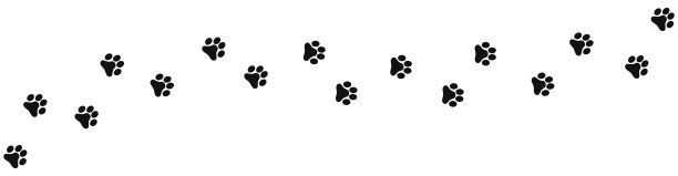 狗，猫，小狗的脚印。矢量平面风格。图片下载