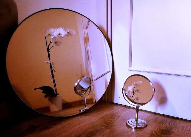 鲜花和镜子图片下载