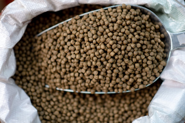 小颗粒，浅棕色，营养价值高图片下载