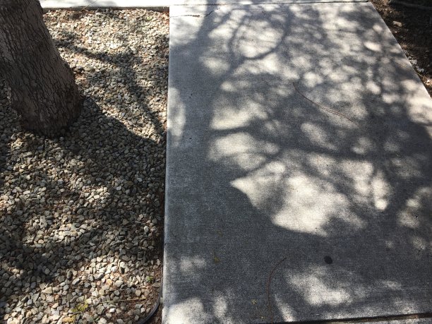 人行道上的树影图片下载