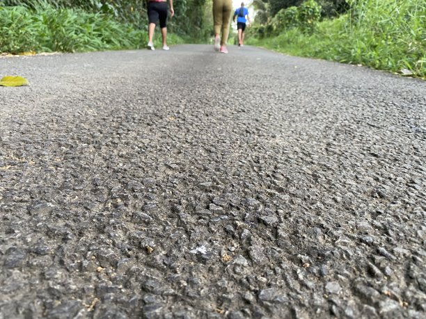 幽闭漫步，探索大自然图片下载
