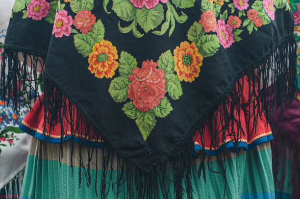 从背后穿民族服装的女人。美丽的高原在白俄罗斯民间风格。黑色的花。传统的秋收节。和传统的人。图片下载