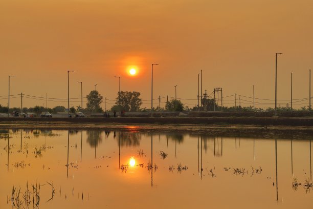 日出和线条图片下载