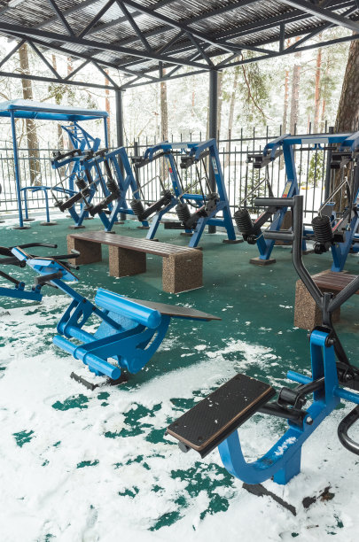 被雪覆盖的户外体育馆图片下载
