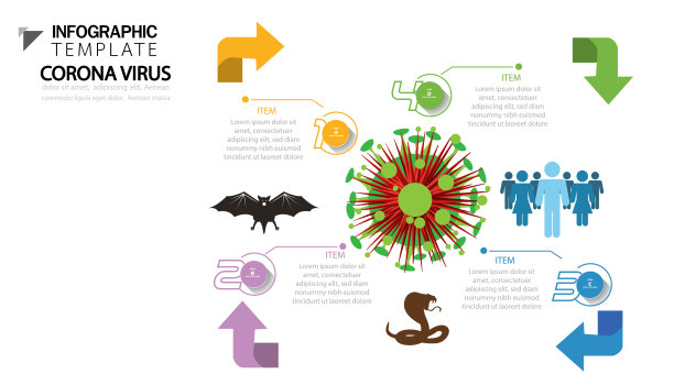 插图医学冠状病毒从蝙蝠到蛇，人与步数，现代设计理念概念矢量信息图形模板，平面设计。图片下载