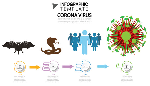插图医学冠状病毒从蝙蝠到蛇，人与步数，现代设计理念概念矢量信息图形模板，平面设计。图片下载