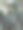 亚利桑那州的仙人掌开花图片下载
