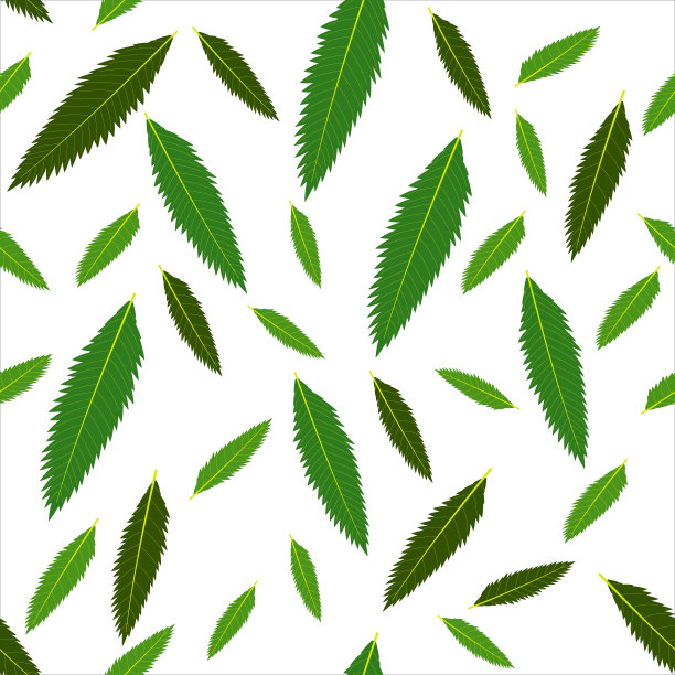 白色背景上的绿色花朵和叶子的图案，矢量插图，设计，纺织品，装饰图片下载