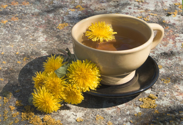 新鲜自制的蒲公英排毒茶放在花园里的金属桌子上图片下载