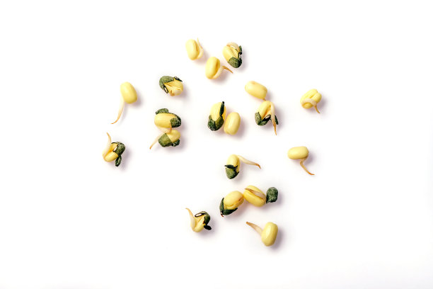 白色背景上分离的新鲜绿芽。图片下载