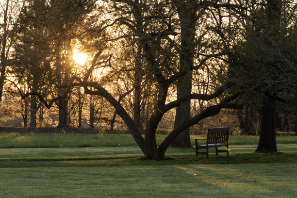 公园在日落时分图片下载