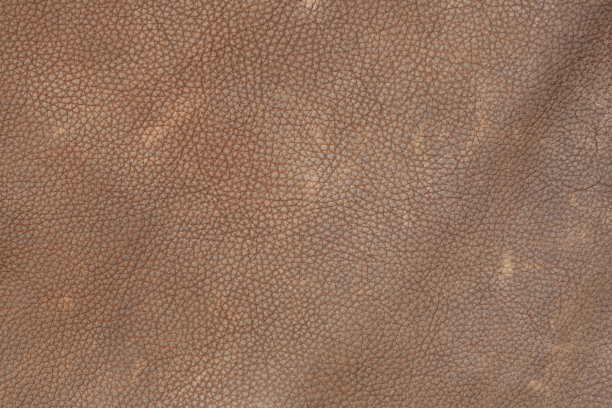 真皮纹理背景图片下载