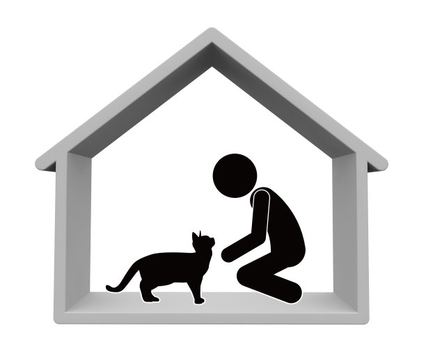 养宠物。可爱的猫。照顾一只猫。三维渲染图片下载