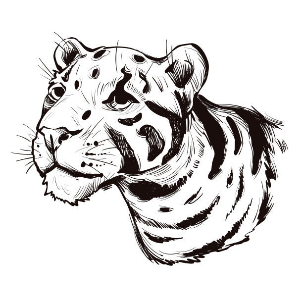 云豹一种产于中国亚洲喜马拉雅山脉的野猫。数码艺术插画大陆云豹或巽他云豹，狩猎季节野猫肖像。图片下载