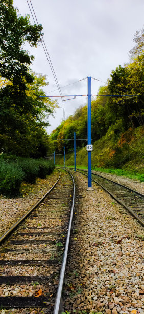 花的轮廓图片下载