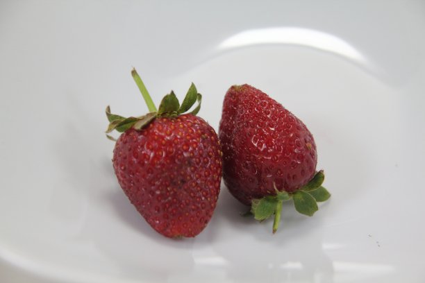 新鲜的草莓照片在白色的背景图片下载