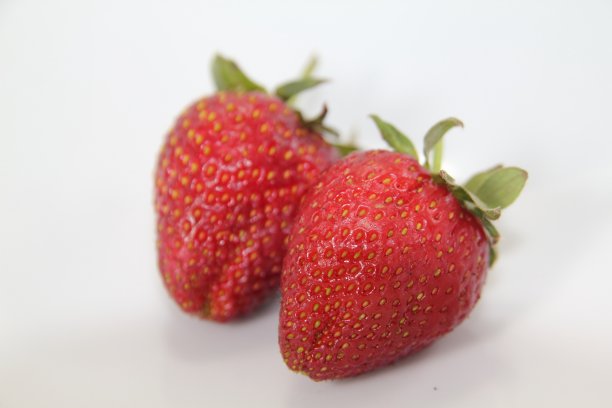 新鲜的草莓照片在白色的背景图片下载