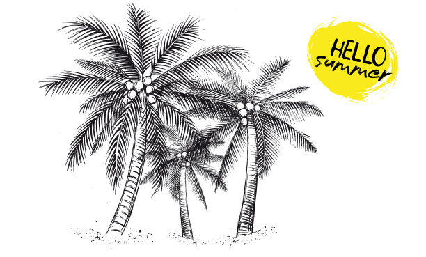 你好，夏天，棕榈树。手绘插图。图片下载