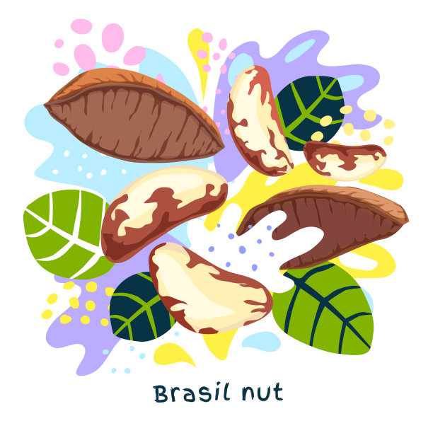 新鲜巴西坚果汁喷溅有机食品调味香料喷溅。辛辣的香草坚果。抽象色彩的艺术飞溅飞溅背景。图片下载