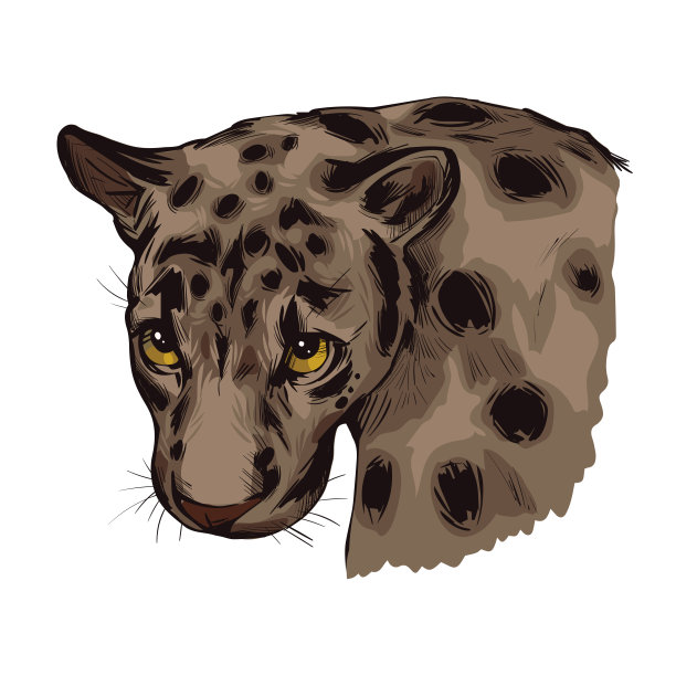 巽他云豹口鼻特写。来自猫科哺乳动物家族的腹泻动物。中等大小的猫科动物，棕色皮毛，有运动特征。野猫矢量图图片下载