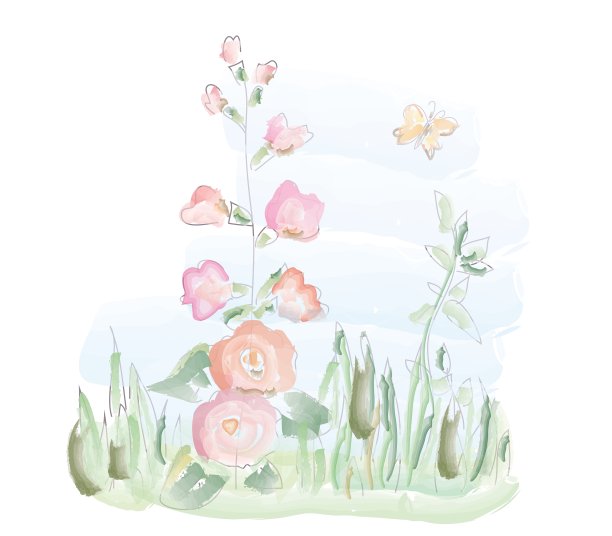 锦葵水彩图片下载