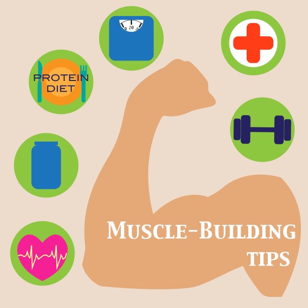 强化肌肉组图片下载