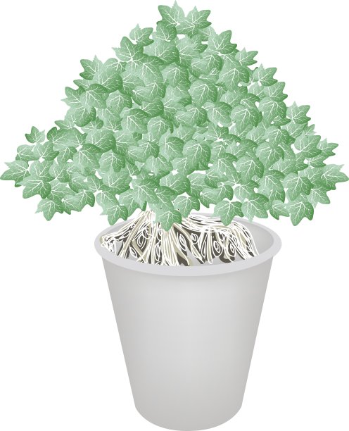 美丽的盆景树在一朵花图片下载