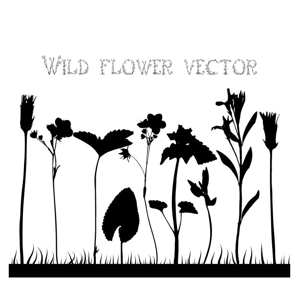 设置野花的剪影图片下载