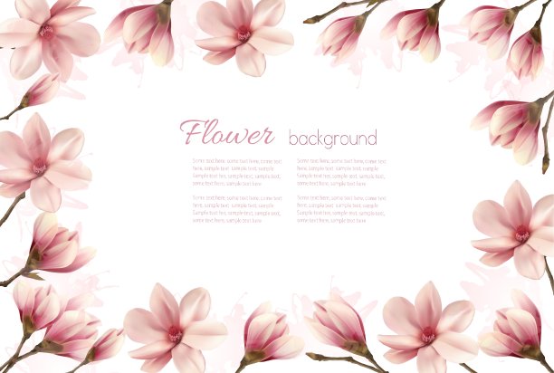 花的背景与粉红色木兰的边界图片下载